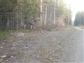 129.JPG