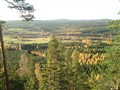 DSC00094.JPG