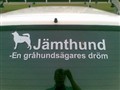 Jämte en dröm !.jpg