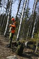 Rävklapp2014.JPG