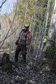 Rävklapp2014_2.JPG