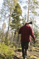 Rävklapp2014_3.JPG