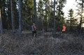 Rävklapp2014_6.JPG